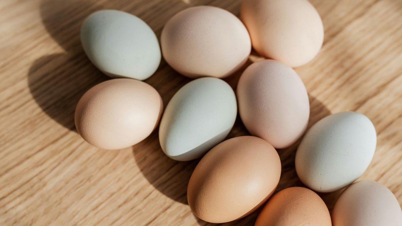 അതിനുള്ള പ്രധാന കാരണം ഈ രണ്ട് ഇനം കോഴികൾക്കും നൽകുന്ന തീറ്റയിലെ വ്യത്യാസമാണ്. ബ്രോയിലർ കോഴികളിൽ നിന്ന് വ്യത്യസ്തമായി നാടൻ കോഴികൾ നമ്മുടെ ചുറ്റുപാടിൽ വളരുന്നതിനാൽ അവയുടെ മുട്ട കുറച്ചുകൂടി ഓർഗാനിക്ക് ആയിരിക്കും. (Image Credits: Pexels)