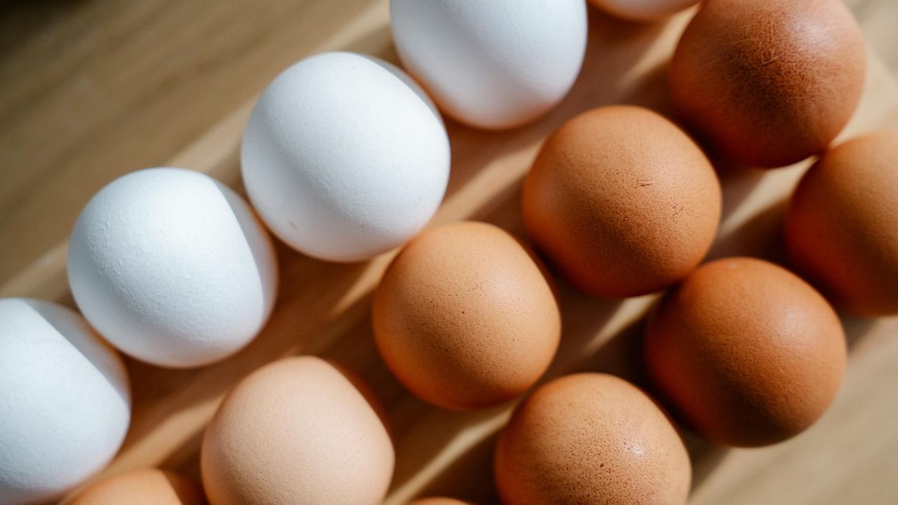 ഈ രണ്ട് മുട്ടയും രണ്ട് ഇനത്തിലുള്ള കോഴികളുടേതാണ്. അതിനാലാണ് ഇവയുടെ നിറം വ്യത്യാസപ്പെട്ടിരിക്കുന്നത്. എന്നാൽ, പോഷകങ്ങളുടെ കാര്യത്തിൽ രണ്ട് മുട്ടകളും തമ്മിൽ വലിയ വ്യത്യാസങ്ങളൊന്നുമില്ലെന്നാണ് വിദഗ്ധർ പറയുന്നത്. (Image Credits: Pexels)