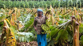 EPFO: പിഎഫ് ഉടമ മരണപ്പെട്ടാല്‍ മക്കളുടെ അക്കൗണ്ടിലേക്ക് നേരിട്ട് പണമെത്തും; ചെയ്യേണ്ടത്‌