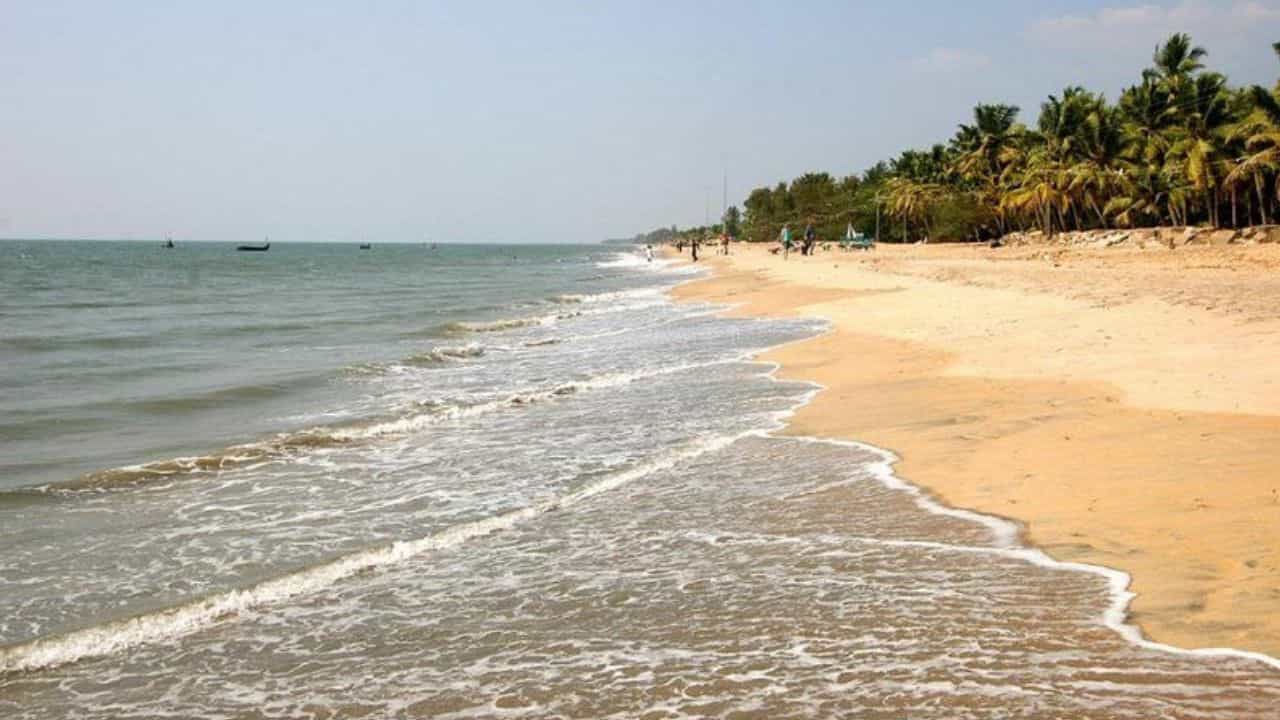 Cherai Beach: ചെറായി ബീച്ചിൽ ആനയുടെ ജഡം; ദിവസങ്ങളുടെ പഴക്കം, ആദ്യം കണ്ടത് പ്രദേശവാസികൾ