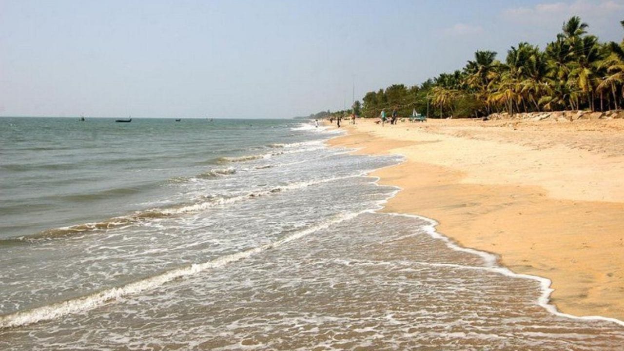Cherai Beach: ചെറായി ബീച്ചിൽ ആനയുടെ ജഡം; ദിവസങ്ങളുടെ പഴക്കം, ആദ്യം കണ്ടത് പ്രദേശവാസികൾ
