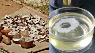 Coconut Oil Theft : തിരുവനന്തപുരത്ത് മാവേലിസ്റ്റോറിൽ നിന്ന് വെളിച്ചെണ്ണ മോഷണം