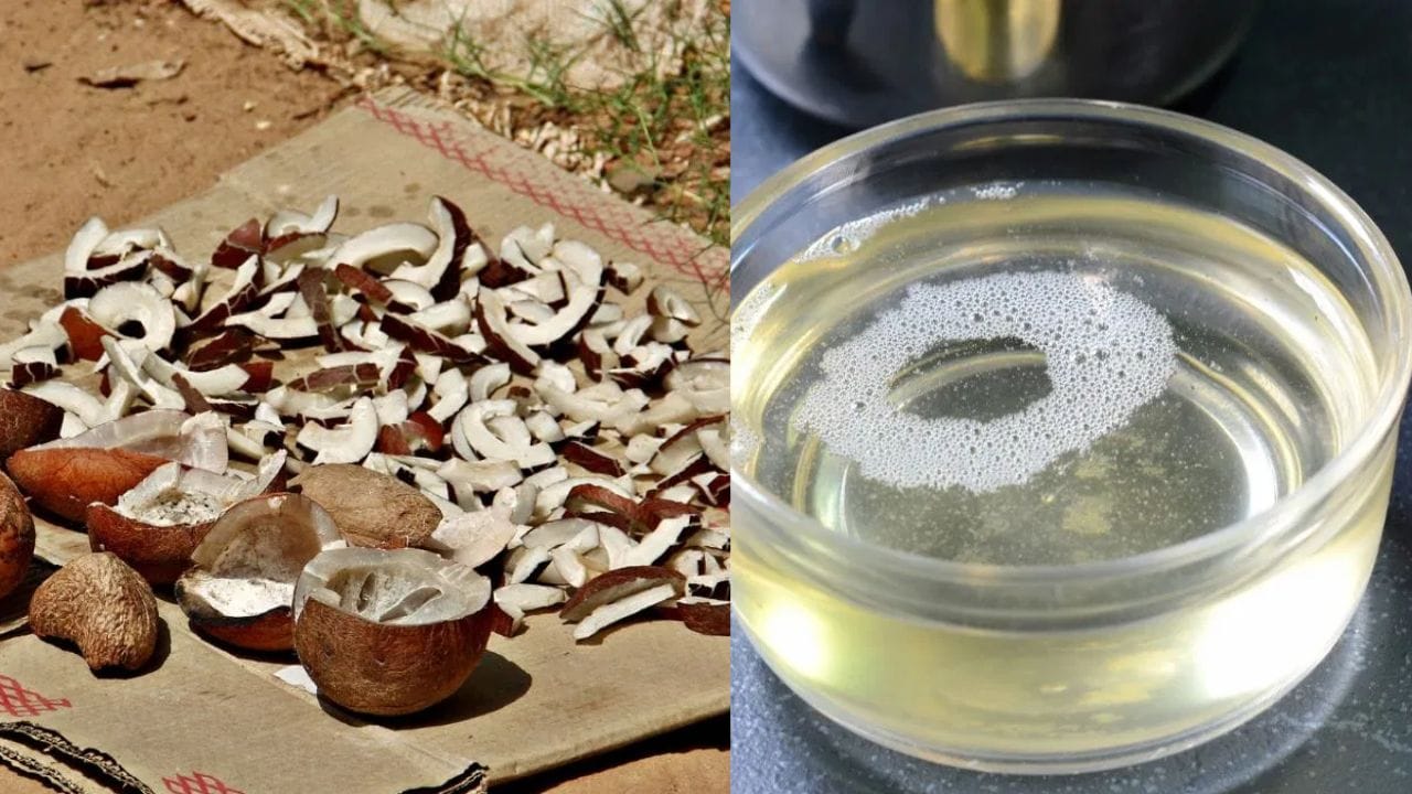Coconut Oil Price: വെളിച്ചെണ്ണയ്ക്ക് വില കുറയുന്നു; പക്ഷെ പണിയാകുന്നത് കൊപ്ര