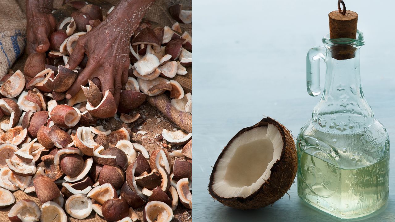 Coconut Oil Price Hike : പ്രതീക്ഷയ്ക്ക് വകയുണ്ടോ? കൊപ്രയുടെ വില ഇടിഞ്ഞു, വെളിച്ചെണ്ണയുടെ വില ഇനി കുറയുമോ?