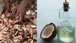 Coconut Oil Price Hike : പ്രതീക്ഷയ്ക്ക് വകയുണ്ടോ? കൊപ്രയുടെ വില ഇടിഞ്ഞു, വെളിച്ചെണ്ണയുടെ വില ഇനി കുറയുമോ? Coconut Oil Price Hike : പ്രതീക്ഷയ്ക്ക് വകയുണ്ടോ? കൊപ്രയുടെ വില ഇടിഞ്ഞു, വെളിച്ചെണ്ണയുടെ വില ഇനി കുറയുമോ?