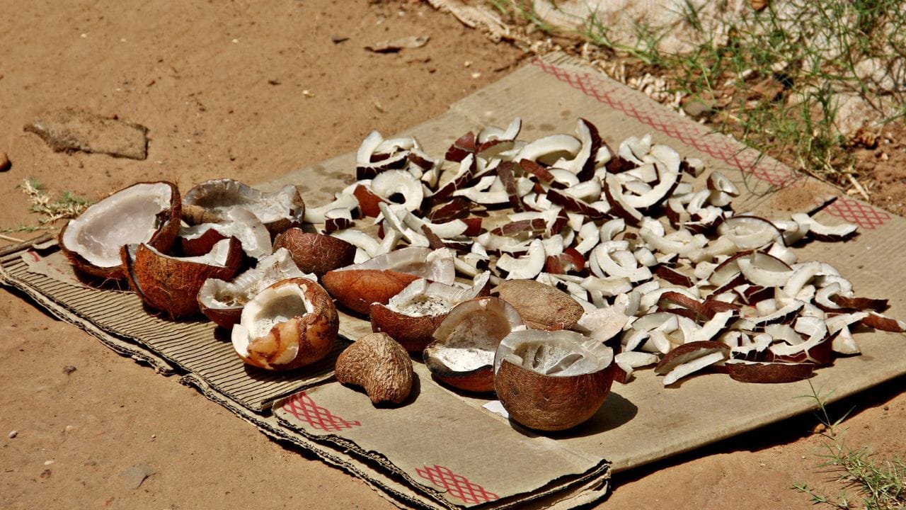 കൊപ്രയ്ക്കും തേങ്ങയ്ക്കും വില കുറഞ്ഞത് വെളിച്ചെണ്ണ വിലയിലും പ്രതിഫലിക്കുന്നുണ്ട്. 390 മുതല്‍ 400 രൂപ വരെയാണ് കഴിഞ്ഞ ദിവസത്തെ വില. വന്‍കിട കമ്പനികള്‍ വലിയ തോതില്‍ തേങ്ങ സംഭരിക്കുന്നതും ഓണക്കാലത്തെ വെളിച്ചെണ്ണയുടെ ആവശ്യം മുന്നില്‍ കണ്ട് നിര്‍മാണം വര്‍ധിപ്പിച്ചതുമായി വിലകുറയാന്‍ കാരണം. 


