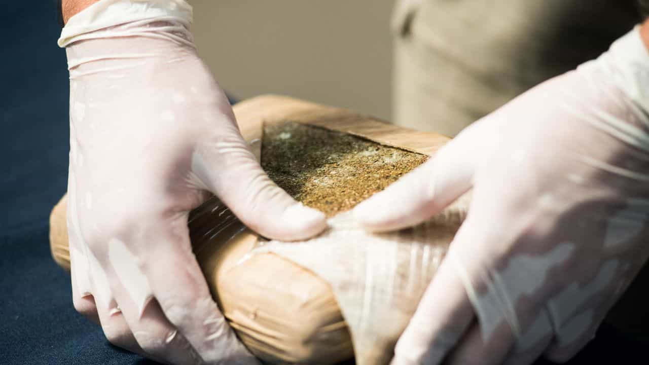 Drug Smuggling: നിയമാനുസൃത ബിസിനസുകള്‍ക്കിടയില്‍ കള്ളക്കടത്ത്; ചെന്നൈയില്‍ വളരുന്ന മയക്കുമരുന്ന് ശൃംഖല