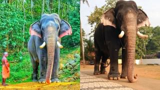 Kerala rain alert: നാളെ മുതൽ മഴ പിൻവാങ്ങുമോ? ഒരു ജില്ലയിലും മുന്നറിയിപ്പില്ല, നേരിയ മഴ പെയ്യാൻ സാധ്യത