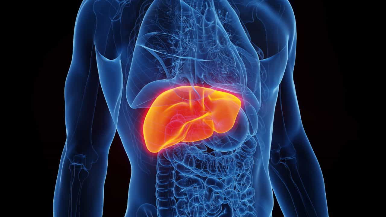 Fatty Liver Into Cancer: ഫാറ്റി ലിവർ കാൻസർ ആകുമോ? ഈ ശീലങ്ങൾ ഒഴിവാക്കിയെ മതിയാകൂ Fatty Liver Into Cancer: ഫാറ്റി ലിവർ കാൻസർ ആകുമോ? ഈ ശീലങ്ങൾ ഒഴിവാക്കിയെ മതിയാകൂ