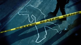 ഭാര്യയെ കാണാൻ പോകുന്നതിനെ ചൊല്ലി തർക്കം; പങ്കാളിയെ കൊന്ന് യുവതി