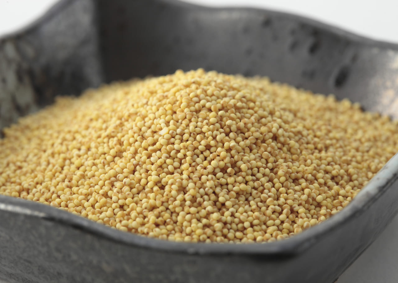 വളരെ കാലങ്ങളായി ഓട്സ് എന്നപോലെ അടുക്കളയിൽ സ്ഥാനം പിടിച്ച ഒന്നാണ് മില്ലറ്റ്. പ്രതിരോധശേഷി ഉൾപ്പെടെ വളരെയധികം ​ഗുണങ്ങളുള്ള ഈ ധാന്യങ്ങൾ സ്ഥിരമായി കഴിക്കുന്നത് വളരെ നല്ലതാണ്. ഗ്ലൂറ്റൻ രഹിതവും, നാരുകളാൽ സമ്പുഷ്ടവും, അവശ്യ പോഷകങ്ങളാൽ സമ്പന്നവുമായ മില്ലറ്റ് നിങ്ങളുടെ ഭക്ഷണത്തിൽ ഉൾപ്പെടുത്തുന്നതിലൂടെ ലഭിക്കുന്ന ​ഗുണങ്ങൾ അറിയാം. (Image Credits: Gettyimages)
