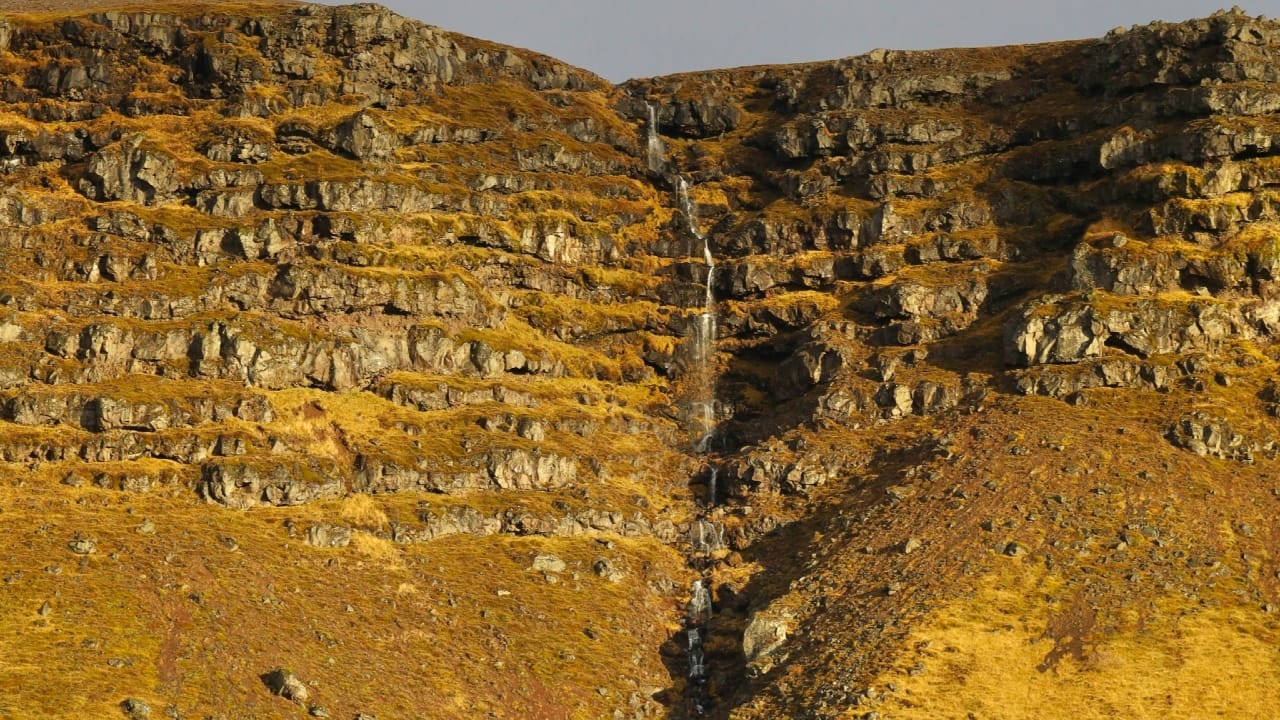 Gold Reserve: ഒഡീഷയിലെ വിവിധജില്ലകളിൽ സ്വർണനിക്ഷേപം കണ്ടെത്തി; 20 മെട്രിക് ടൺ വരെ ഉണ്ടാവാമെന്ന് കണ്ടെത്തൽ