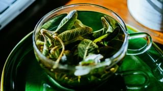 Maneka Gandhi: അപ്രായോഗിക തീരുമാനം, തെരുവുനായ വിഷയത്തില്‍ സുപ്രീംകോടതി ഉത്തരവിനെ വിമര്‍ശിച്ച് മനേക ഗാന്ധി