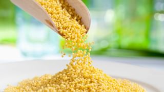 Bigg Boss Malayalam Season 7: ഇത്തരം വാക്കുകൾ പറഞ്ഞ് എന്നെ ഇനി വേദനിപ്പിക്കരുത്; അക്ബറിനോട് ക്ഷമിച്ച് രേണു