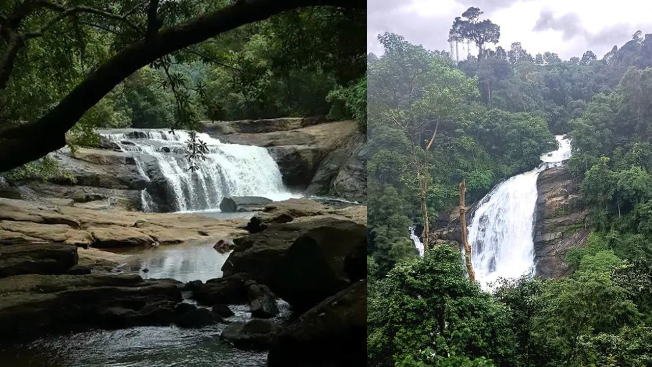 ​Idukki Waterfalls: ഇടുക്കിയിലെ ഒഴുകിയെത്തുന്ന സൗന്ദര്യം; കാണണം കണ്ടിരിക്കണം ഈ വെള്ളച്ചാട്ടങ്ങൾ