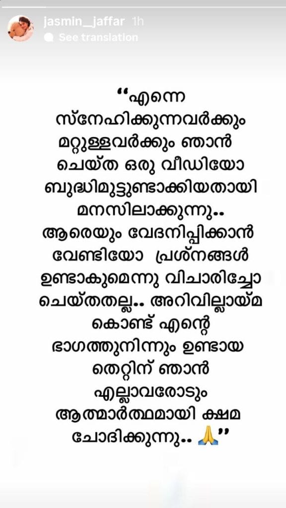 Jasmine Instagram Story