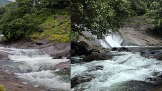 Wayanad Trip: ഒറ്റ ദിവസത്തെ വയനാട് യാത്ര! കാണേണ്ടതും പോകേണ്ടതുമായ സ്ഥലങ്ങൾ