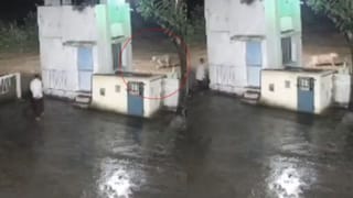 Viral News: പുള്ളിപ്പുലിക്ക് രാഖി കെട്ടി യുവതിയുടെ സാഹസം; ‘കിളി പോയോ’ എന്ന് സോഷ്യല്‍ മീഡിയ