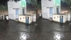 Viral News: ഇവനാണ് യഥാർത്ഥ ഹീറോ! മനുഷ്യനെ കണ്ട് പേടിച്ചോടി സിംഹം; വൈറലായി വീഡിയോ