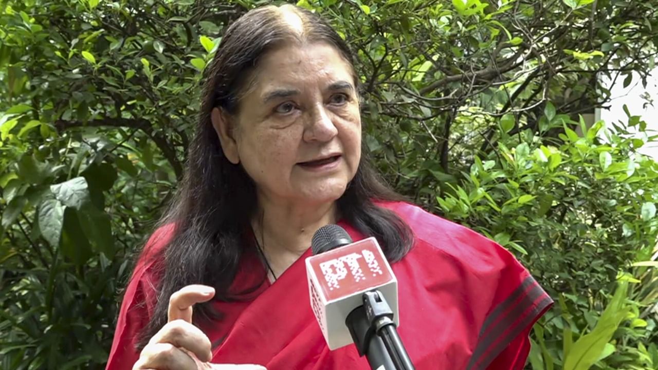 തെരുവ് നായകളെ പിടികൂടി ഷെൽട്ടറുകളിലേക്ക് മാറ്റണമെന്ന് ഡല്‍ഹി സര്‍ക്കാരിനോട് കോടതി ഉത്തരവിട്ടിരുന്നു. എന്നാല്‍ ഡൽഹിയിൽ നിങ്ങൾക്ക് മൂന്ന് ലക്ഷം നായ്ക്കളുണ്ടെന്ന് മനേക ഗാന്ധി പറഞ്ഞു. ഡ്രെയിനേജ്, വെള്ളം, ഷെഡ്, കിച്ചണ്‍, വാച്ച്മാൻ എന്നിവ ഓരോന്നിനും വേണ്ടി വരും. ഇതിനായി ഏകദേശം 15,000 കോടി രൂപ ചെലവാകുമെന്നും, അത്രയും പണമുണ്ടോയെന്നും മനേക ഗാന്ധി ചോദിച്ചു  (Image Credits: PTI)