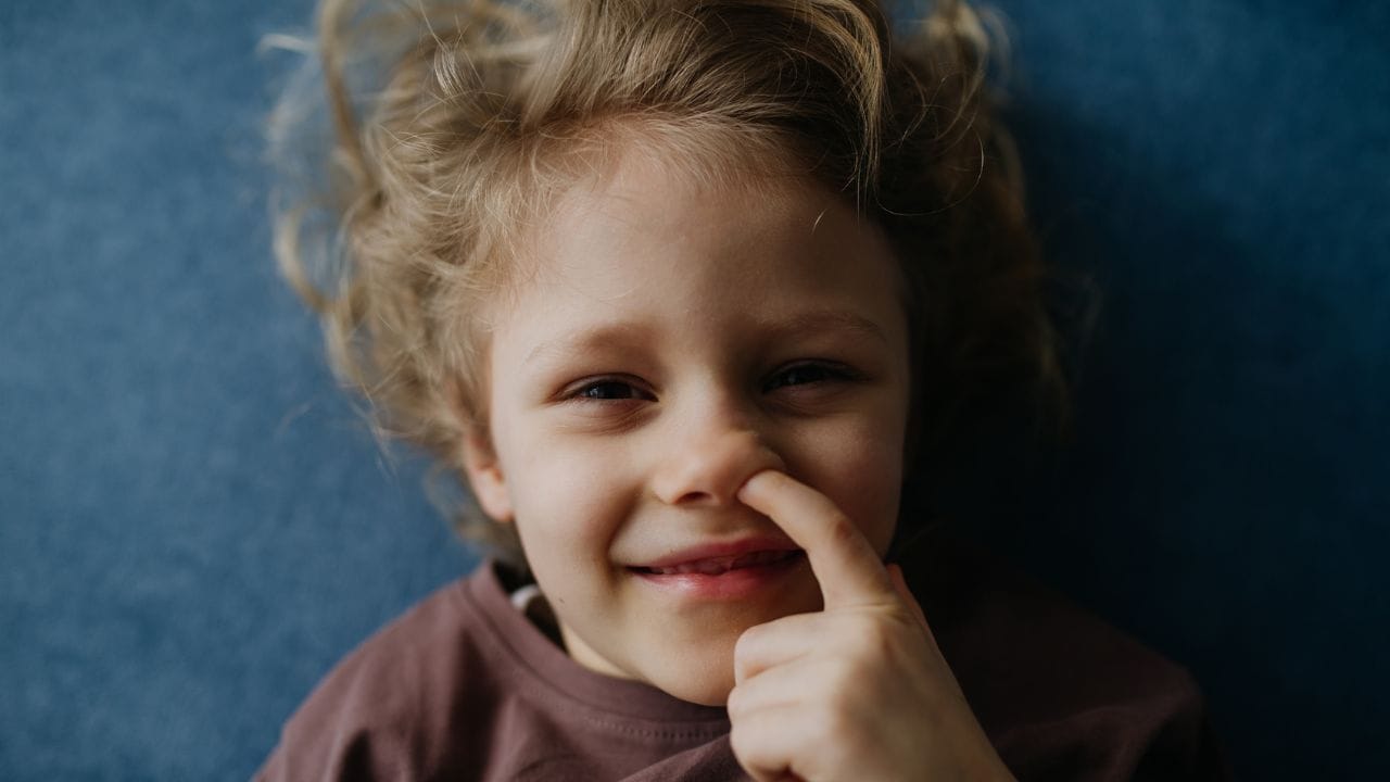 മനുഷ്യരിൽ ന്യുമോണിയ ഉണ്ടാക്കുന്ന ക്ലമീഡിയ ന്യുമോണിയ എന്ന ബാക്ടീരിയ ഉപയോഗിച്ച് എലികളിലാണ് പഠനം നടത്തിയത്. ഡിമെന്‍ഷ്യ ബാധിച്ച പ്രായമായ ഭൂരിഭാഗം ആളുകളിലും ഈ ബാക്ടീരിയയുടെ സാന്നിധ്യം കണ്ടെത്തിയിട്ടുണ്ട്. (Image Credits: Getty Images)
