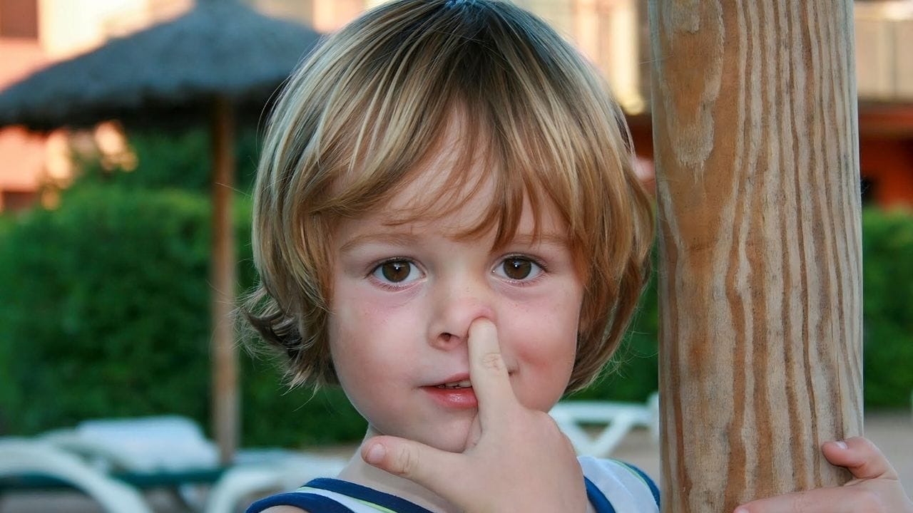 ഈ ശീലം തലച്ചോറിന് അപകടകരമാണെന്നാണ് ഓസ്ട്രേലിയയിലെ ഗ്രിഫിത്ത് സർവകലാശാല ഗവേഷകരുടെ കണ്ടെത്തൽ. മൂക്കിൽ വിരലിടുന്ന സമയത്ത് അതിന്റെ ഉള്ളിലെ നേർത്ത കലകൾ (tissue) പൊട്ടാനോ തകരാനോ സാധ്യത ഉണ്ട്. ഇതിലൂടെ നമ്മുടെ കൈകളിൽ ഉള്ള ബാക്ടീരിയകൾ തലച്ചോറിലേക്ക് എത്തുമെന്നാണ് പഠനം. (Image Credits: Getty Images)