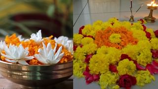 Bathroom Cleaning Tips: ടോയ്‌ലറ്റ് പേപ്പറും വിനാഗിരിയുമുണ്ടോ? ഇനി നിങ്ങളുടെ ബാത്റൂം വെട്ടിത്തിളങ്ങും