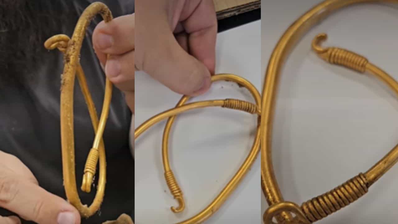 Viral News: വനത്തിനുള്ളില്‍ നിന്നും 1,500 വര്‍ഷം പഴക്കമുള്ള സ്വര്‍ണമാല കണ്ടെത്തി