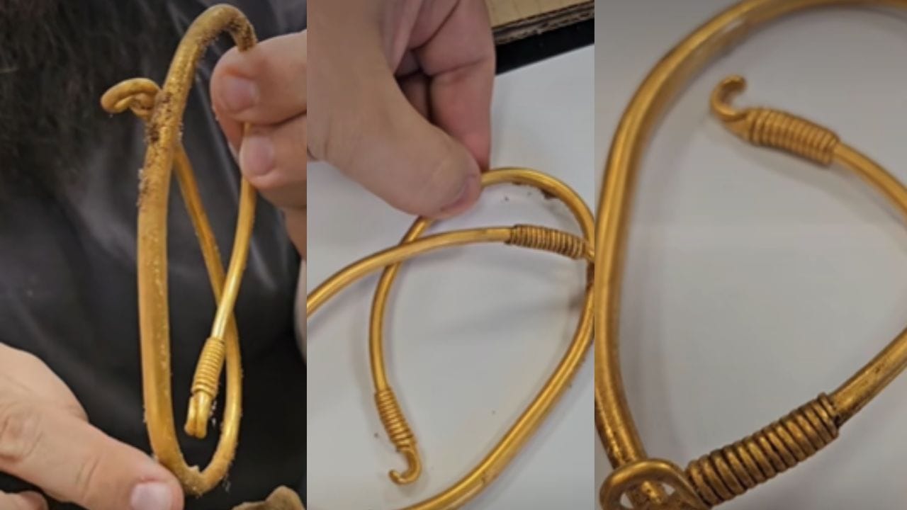 Viral News: വനത്തിനുള്ളില്‍ നിന്നും 1,500 വര്‍ഷം പഴക്കമുള്ള സ്വര്‍ണമാല കണ്ടെത്തി