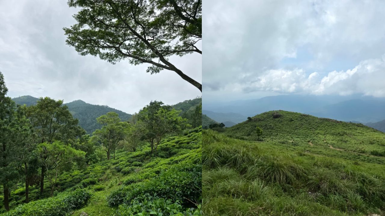 Ponmudi Travel Ban: ശക്തമായ മഴയും മണ്ണിടിച്ചിലും; പൊൻമുടിയിലേക്കുള്ള സന്ദർശനം നിരോധിച്ചു, അറിയേണ്ടത്