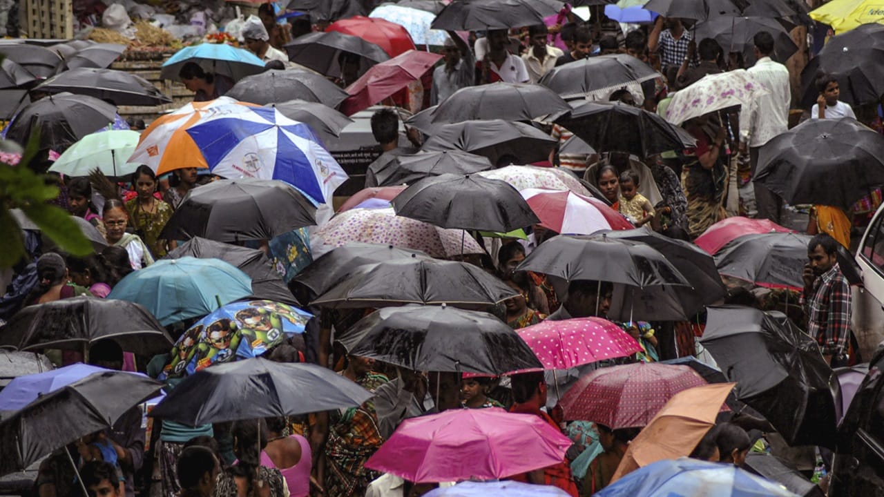 നദികളില്‍ അപകടകരമായ രീതിയില്‍ ജലനിരപ്പ് ഉയരുകയാണ്. മൂവാറ്റുപുഴ (കക്കടശേരി, തൊടുപുഴ സ്റ്റേഷന്‍), അച്ചന്‍കോവില്‍ (കല്ലേലി, കോന്നി ജിഡി സ്‌റ്റേഷന്‍) എന്നീ നദികളില്‍ മഞ്ഞ അലര്‍ട്ട് പ്രഖ്യാപിച്ചു. നദിതീരങ്ങളോട് ചേര്‍ന്ന് താമസിക്കുന്നവര്‍ ജാഗ്രത പുലര്‍ത്തണം. നദികളില്‍ ഇറങ്ങരുത് (Image Credits: PTI)