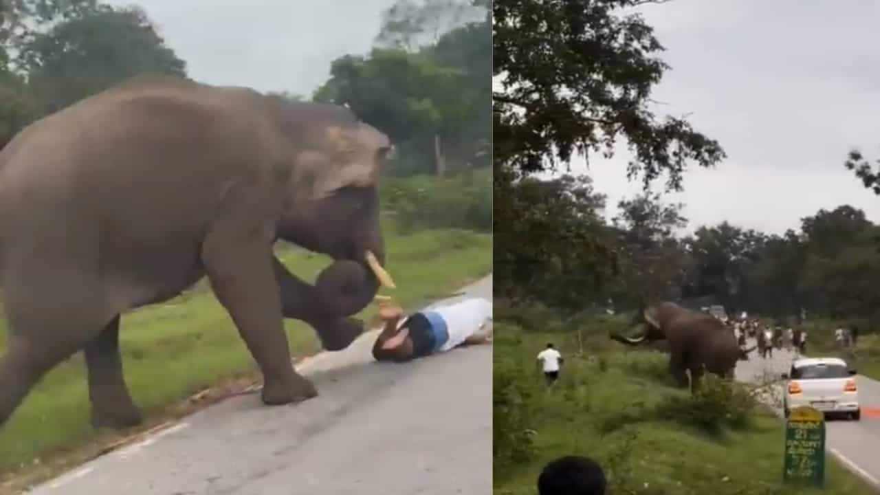 Shocking Video: മലയാളി യാത്രക്കാരൻ കാട്ടാനയുടെ കാലിനടിയിൽ , ഞെട്ടിക്കുന്ന വീഡിയോ
