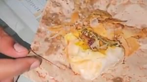 Snake In Puff: ബേക്കറിയിൽ നിന്ന് വാങ്ങിയ പഫ്സിനുള്ളിൽ പാമ്പ്; പരാതിനൽകി യുവതി