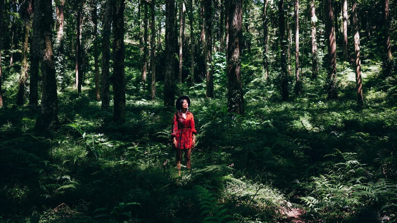 ഇക്കോതെറാപ്പിയും സ്‌ട്രെസ് കുറയ്ക്കാൻ മികച്ചതാണ്. പ്രകൃതിയുമായി ബന്ധപ്പെട്ട പ്രവർത്തികളിൽ ഏർപ്പെടുന്നതിനെയാണ് ഇക്കോതെറാപ്പി എന്ന് പറയുന്നത്. ഇത്തരം പ്രവർത്തികളുടെ ഭാഗമാകുന്നതിലൂടെ ജീവിതത്തിൽ ഒരു ഉണർവ് ലഭിക്കുന്നു. (Image Credits: Pexels)