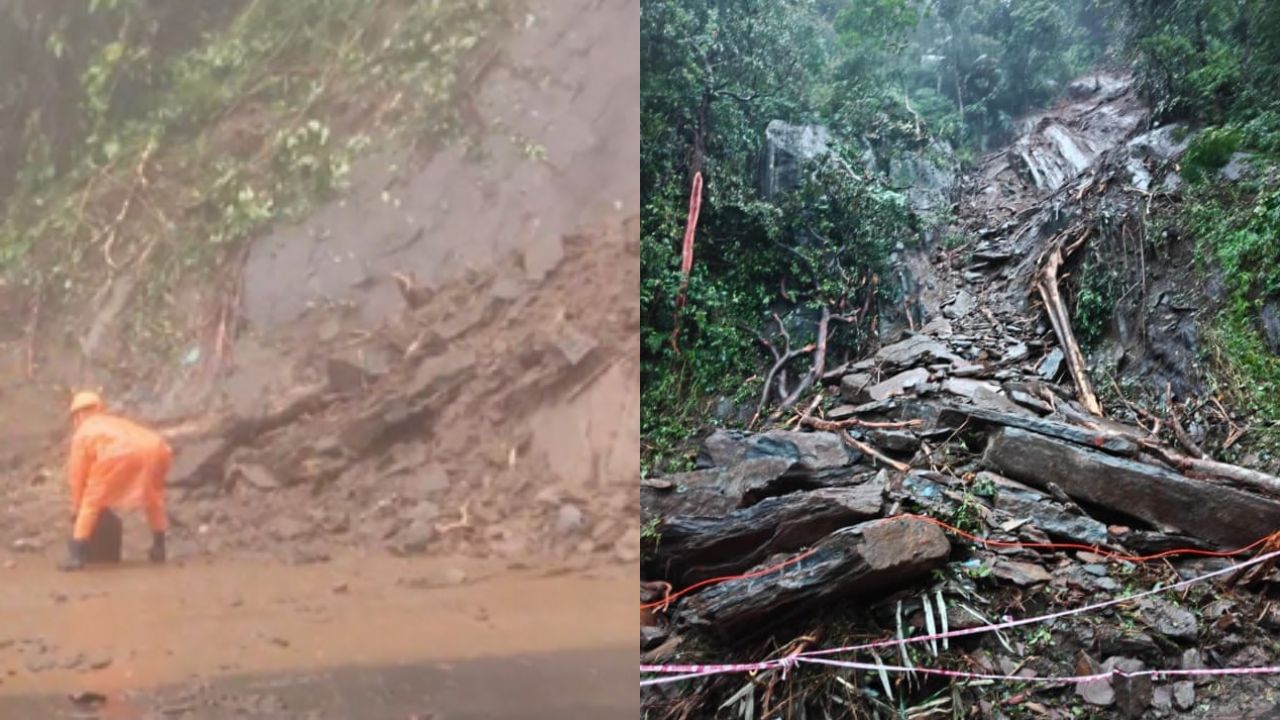 Thamarassery Churam: താമരശ്ശേരി ചുരത്തിലൂടെ ചെറുവാഹനങ്ങൾ ഓടിത്തുടങ്ങി; വലിയ വാഹനങ്ങൾക്ക് നിരോധനം തുടരും