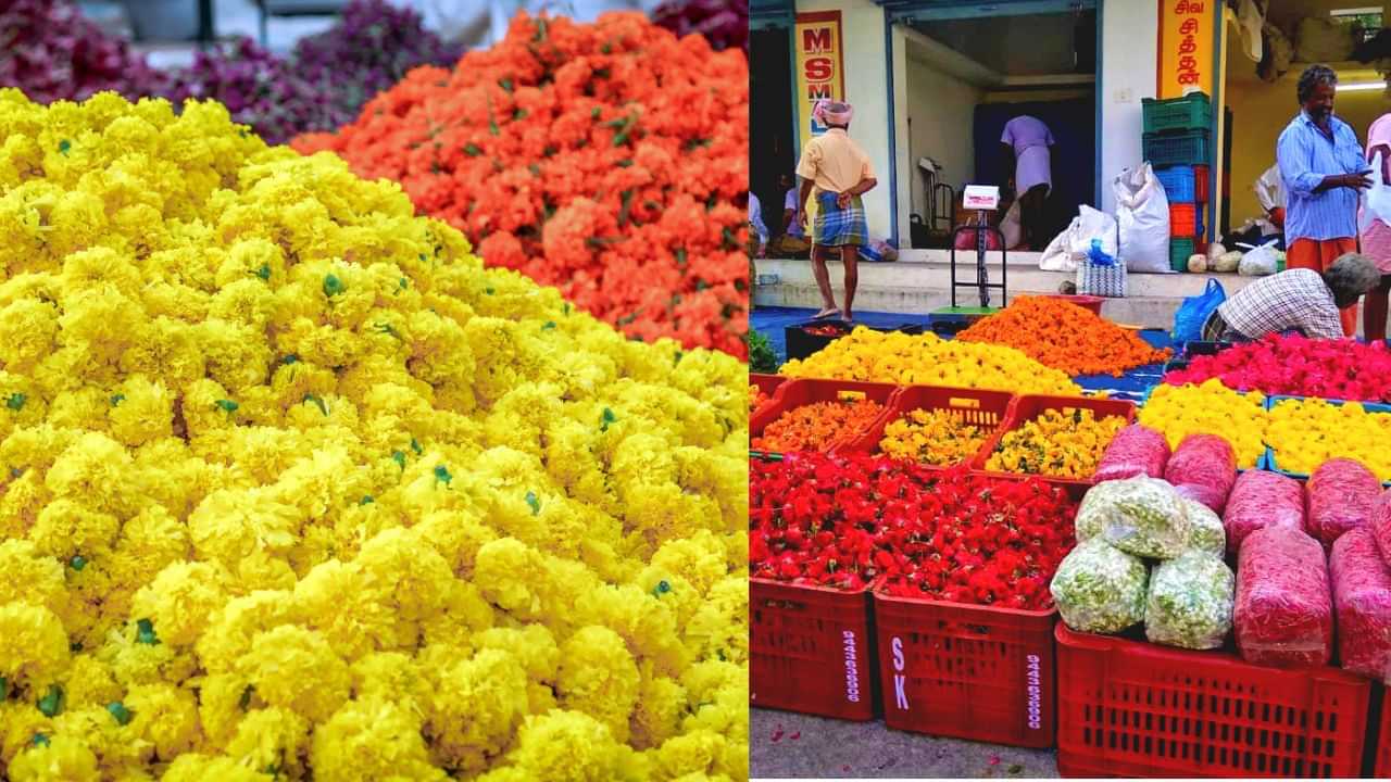 Thovalai: ഓണത്തിന് പൂത്തുലയുന്ന തമിഴ്നാടൻ ഗ്രാമം; തോവാളയിലേക്ക് ഒരു യാത്രയാകാം