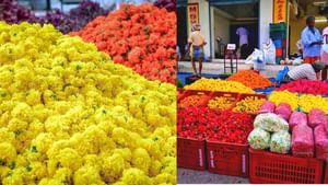 Thovalai: ഓണത്തിന് പൂത്തുലയുന്ന തമിഴ്നാടൻ ഗ്രാമം; തോവാളയിലേക്ക് ഒരു യാത്രയാകാം