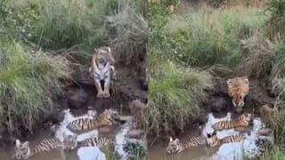 News9 Global Summit : സ്ത്രീകൾക്ക് ഉയർച്ചയുണ്ടാകുമ്പോൾ മാനവികതയും വളരുന്നു; ടിവി9 നെറ്റ്വർക്കിൻ്റെ എംഡി, സിഇഒ ബരുൺ ദാസ്