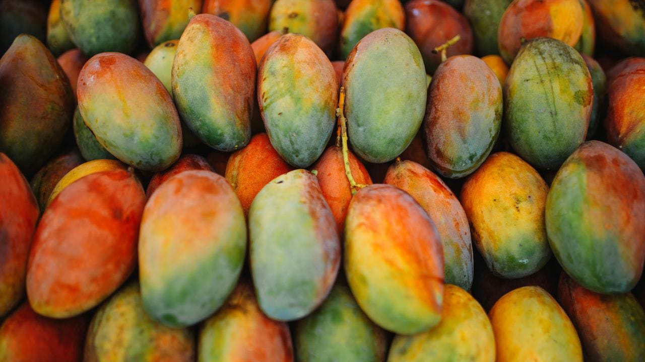 മാങ്ങ ദീർഘകാലം കേടുവരാതിരിക്കണമെങ്കിൽ പേപ്പർ ടവൽ ഉപയോഗിച്ച് മാങ്ങയുടെ ഞെട്ട് നന്നായി പൊതിഞ്ഞ് സൂക്ഷിക്കണം. ഇത് ഈർപ്പത്തെ ആഗിരണം ചെയ്യുന്നത് തടയുന്നു. അതുവഴി മാങ്ങ കേടുവരുന്നതും തടയും. നല്ല വായുസഞ്ചാരമുള്ള, അധികം ചൂടും ഈർപ്പവും ഇല്ലാത്ത സ്ഥലത്ത് വേണം മാങ്ങ സൂക്ഷിക്കാൻ. (Image Credits: Pexels)
