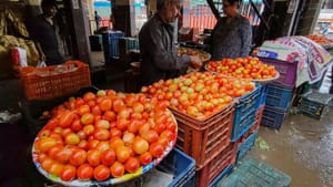 Tomato Price Hike: തമിഴ്‌നാട്ടില്‍ തക്കാളിക്ക് 80 രൂപ; കേരളത്തിലും വില ഉയരുമോ?