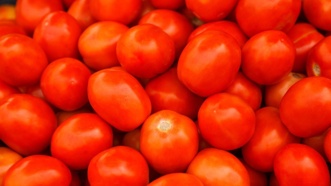 തക്കാളിയുടെ വില ചില്ലറ വിപണികളില്‍ 80 രൂപയാണ്. കര്‍ണാടക, ആന്ധാപ്രദേശ് എന്നിവിടങ്ങളില്‍ നിന്നും ഊട്ടിയില്‍ നിന്നും വരുന്ന തക്കാളിയുടെ അളവ് കുറഞ്ഞതാണ് വില വര്‍ധനവിന് കാരണം. (Image Credits: Dejan Patic/Stockbyte/Getty Images)