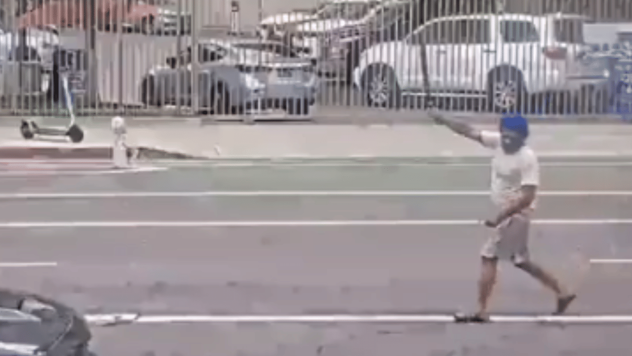 US Police: നടുറോഡിൽ വാളുമായി അഭ്യാസം, സിഖ് വംശജനെ വെടിവച്ച് കൊന്ന് യുഎസ് പൊലീസ്