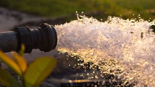 Tender coconut Issues; കരിക്കത്ര സേഫല്ല, പ്രത്യേകിച്ച് വഴിയോരങ്ങളിൽ; കാരണം