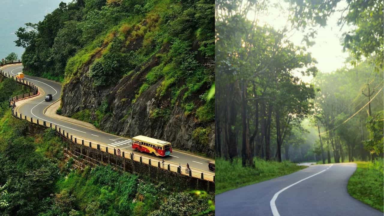 Wayanad Trip: ഒറ്റ ദിവസത്തെ വയനാട് യാത്ര! കാണേണ്ടതും പോകേണ്ടതുമായ സ്ഥലങ്ങൾ