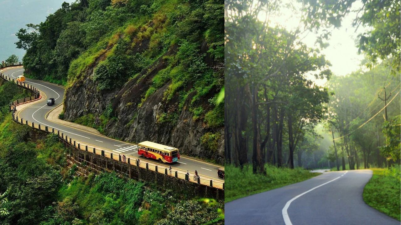 Wayanad Trip: ഒറ്റ ദിവസത്തെ വയനാട് യാത്ര! കാണേണ്ടതും പോകേണ്ടതുമായ സ്ഥലങ്ങൾ