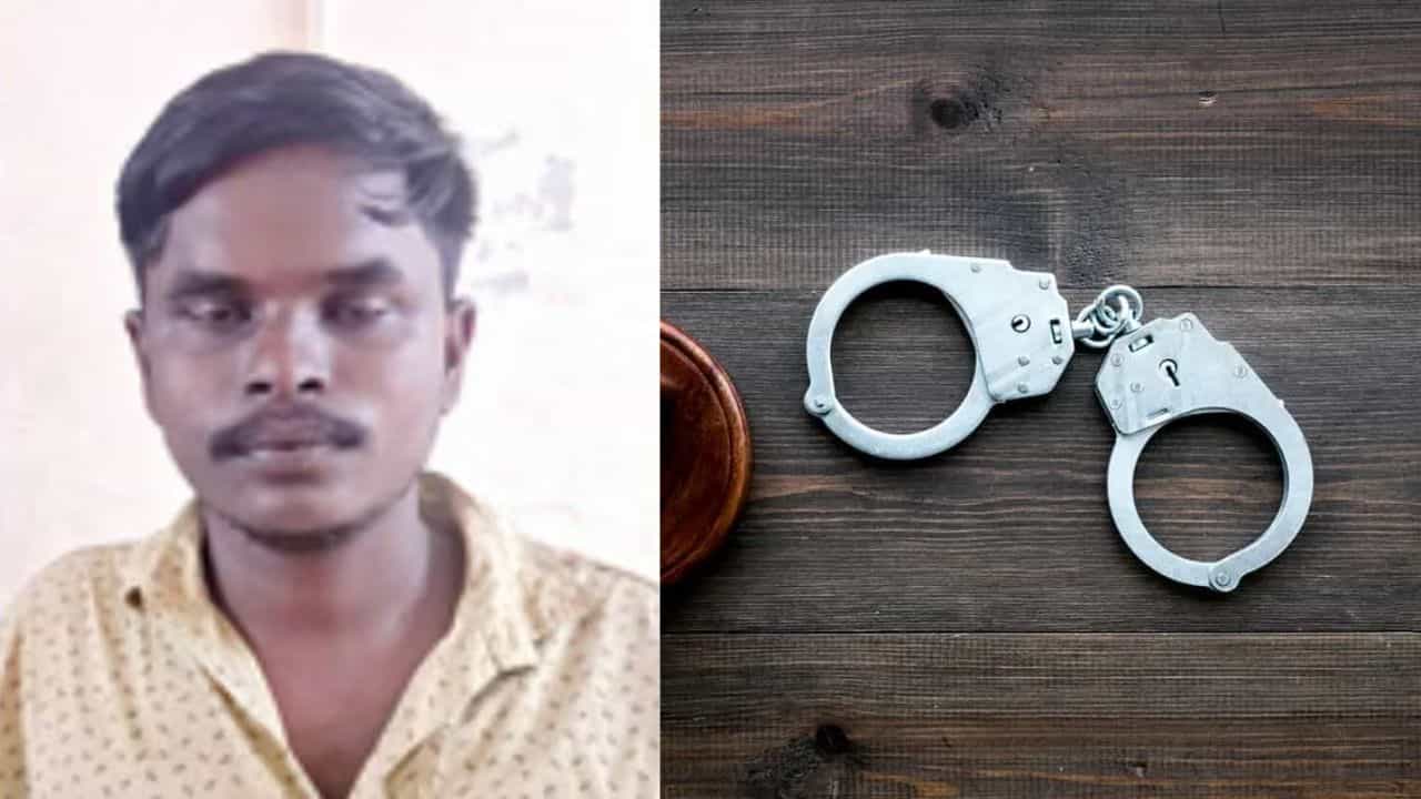 Adoor Women Assault Case: ഫെയ്സ്ബുക്കിലൂടെ ആട് വില്പന; യുവതിയെ പീഡിപ്പിച്ച് ഗർഭിണിയാക്കിയ പ്രതി പിടിയിൽ