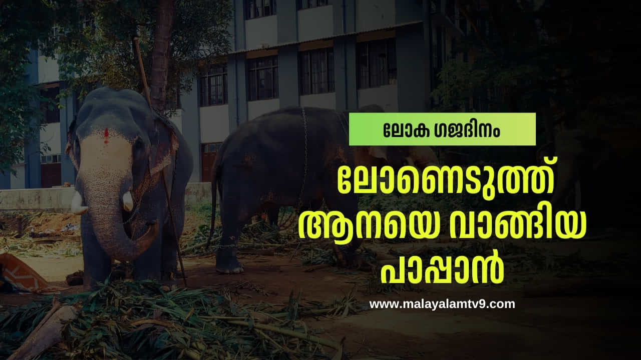 World Elephants Day 2025: ലോണെടുത്ത് ആനയെ വാങ്ങിയ പാപ്പാൻ; ഒടുവിൽ