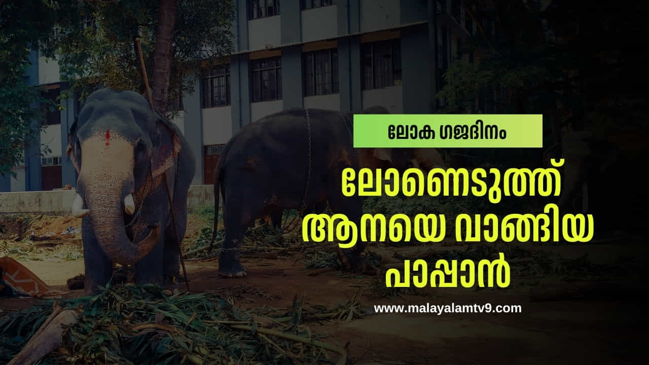 World Elephants Day 2025: ലോണെടുത്ത് ആനയെ വാങ്ങിയ പാപ്പാൻ; ഒടുവിൽ