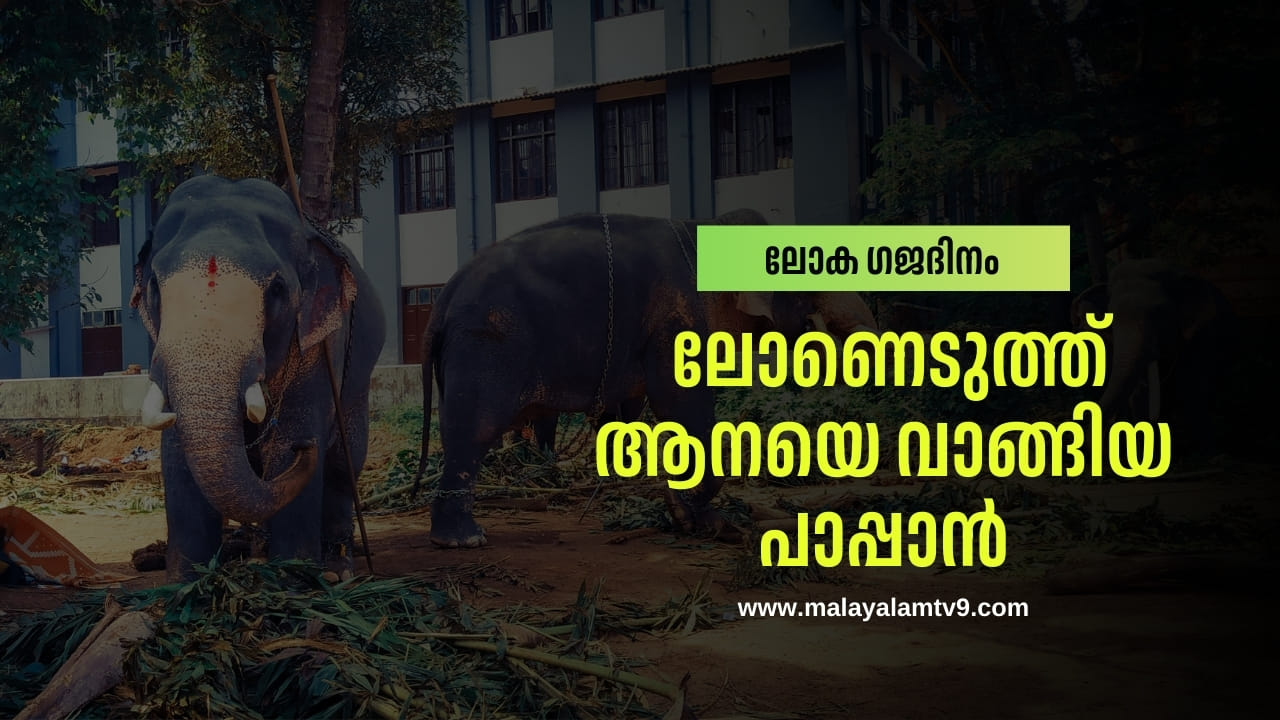 World Elephant’s Day 2025: ലോണെടുത്ത് ആനയെ വാങ്ങിയ പാപ്പാൻ; ഒടുവിൽ