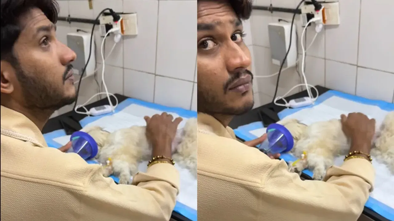 "എന്റെ ഹൃദയം പറിച്ചു കൊണ്ട് എന്റെ പൊന്ന് മോൾ പോയി. ഒരിക്കലും തകരില്ല എന്നു കരുതിയ ഞാൻ ഒന്നുമല്ലാതായി പോയി. കഴിഞ്ഞ മൂന്നു വർഷമായി എന്റെ ഒപ്പം ഉറങ്ങുന്ന ഞങ്ങളുടെ മൂന്നാമത്തെ മകളായ എന്റെ ശീശു ഞങ്ങളെ വിട്ട് പോയി. എന്റെ നെഞ്ച് പറിയുന്ന വേദനയാണ്..." എന്നാണ് ഫേസ്ബുക്കിൽ കുറിച്ചത്.